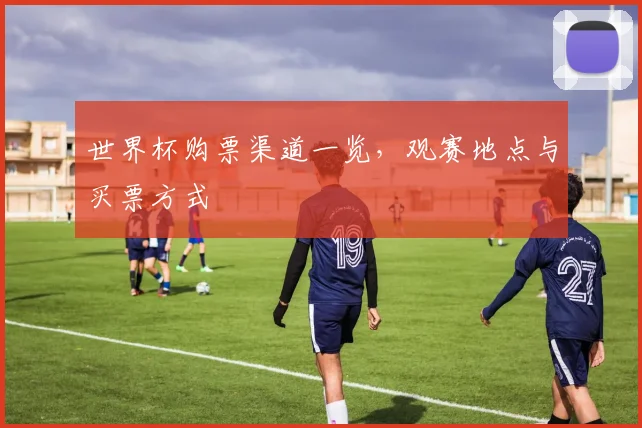 世界杯购票渠道一览,观赛地点与买票方式
