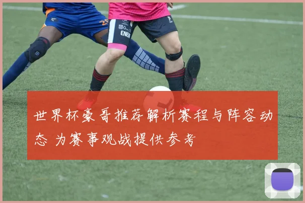 世界杯豪哥推荐解析赛程与阵容动态 为赛事观战提供参考