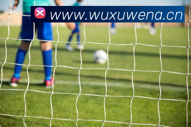 美国男篮公布巴黎奥运阵容詹姆斯杜兰特领衔十二人名单